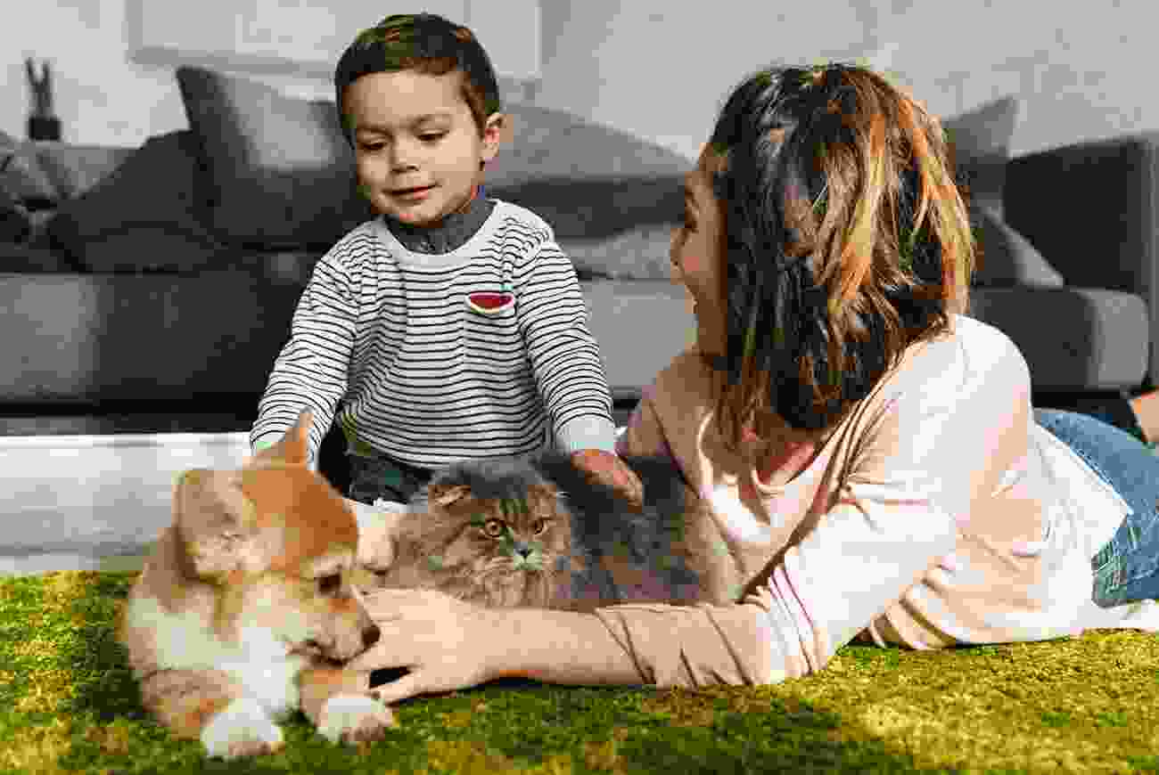 The pros and cons of owning a dog as a pet